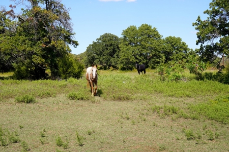 No Reserve Highway Home & Acreage Auction, Meeker, OK - image 8