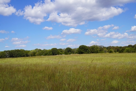 No Reserve Highway Home & Acreage Auction, Meeker, OK - image 13