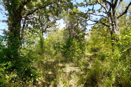No Reserve Highway Home & Acreage Auction, Meeker, OK - image 22