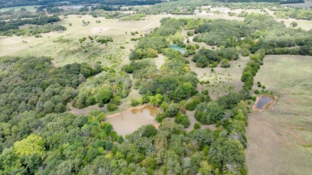 No Reserve Highway Home & Acreage Auction, Meeker, OK - image 15