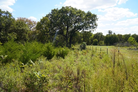 No Reserve Highway Home & Acreage Auction, Meeker, OK - image 21