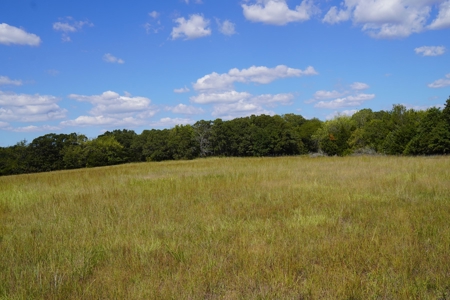 No Reserve Highway Home & Acreage Auction, Meeker, OK - image 14