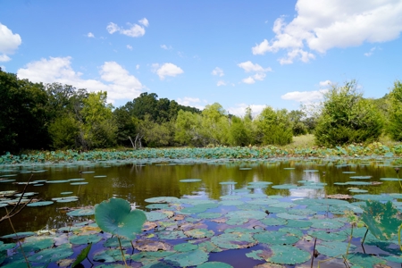 Tr 5 of 6 No Reserve Land Auction, Meeker, OK Oct 27 @ 1:30 - image 4