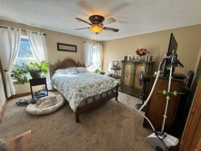 9+ Acres And Ranch Home For Sale Cameron Mo - image 6