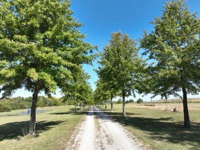 9+ Acres And Ranch Home For Sale Cameron Mo - image 21