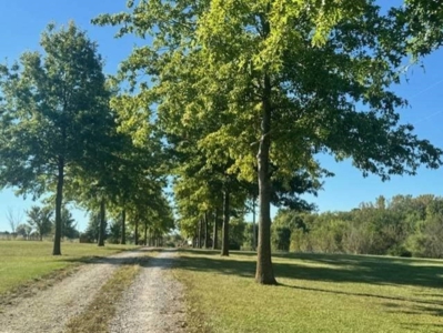 9+ Acres And Ranch Home For Sale Cameron Mo - image 4