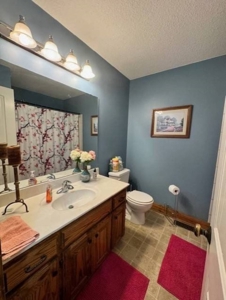 9+ Acres And Ranch Home For Sale Cameron Mo - image 11