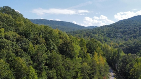 Land For Sale in Pikeville, Tennessee - image 2