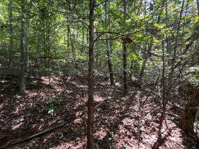 Land For Sale in Pikeville, Tennessee - image 1