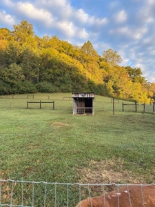 Charming One-Bedroom Home on 11 Acres with Endless Potential - image 2