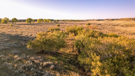640 Acre Grazing  Unit | Deer & Upland Bird Hunting-Savoy Mt - image 5