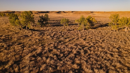 640 Acre Grazing  Unit | Deer & Upland Bird Hunting-Savoy Mt - image 17