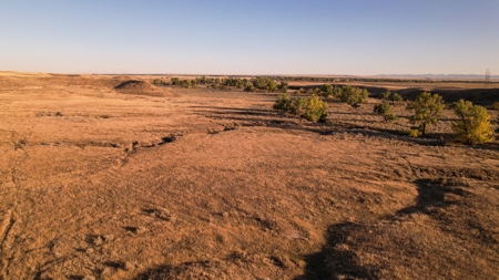 640 Acre Grazing  Unit | Deer & Upland Bird Hunting-Savoy Mt - image 8