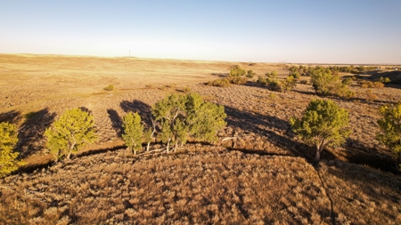 640 Acre Grazing  Unit | Deer & Upland Bird Hunting-Savoy Mt - image 7