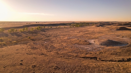 640 Acre Grazing  Unit | Deer & Upland Bird Hunting-Savoy Mt - image 13