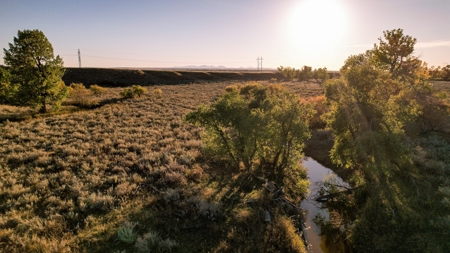 640 Acre Grazing  Unit | Deer & Upland Bird Hunting-Savoy Mt - image 1