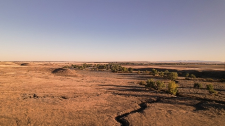 640 Acre Grazing  Unit | Deer & Upland Bird Hunting-Savoy Mt - image 11