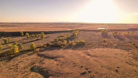 640 Acre Grazing  Unit | Deer & Upland Bird Hunting-Savoy Mt - image 14
