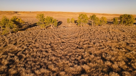 640 Acre Grazing  Unit | Deer & Upland Bird Hunting-Savoy Mt - image 16