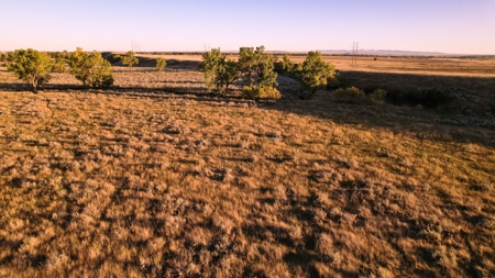 640 Acre Grazing  Unit | Deer & Upland Bird Hunting-Savoy Mt - image 15