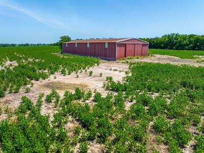 Row Crop Farm For Sale in Deport TX - image 3
