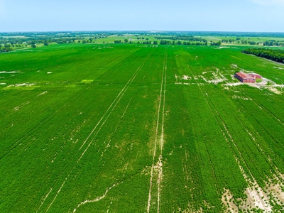 Row Crop Farm For Sale in Deport TX - image 5