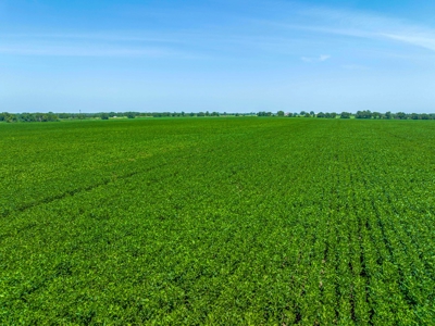 Row Crop Farm For Sale in Deport TX - image 6