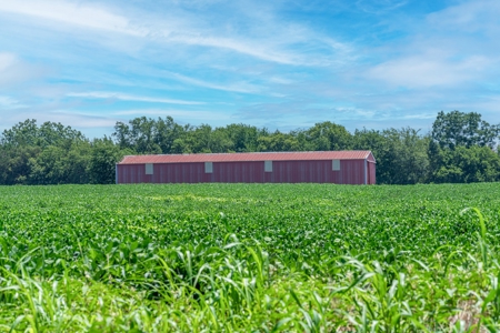 Row Crop Farm For Sale in Deport TX - image 9