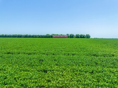 Row Crop Farm For Sale in Deport TX - image 2
