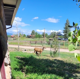 Large Family Home for Sale in Silver Cliff, CO - image 24