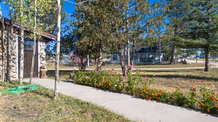 Large Family Home for Sale in Silver Cliff, CO - image 4