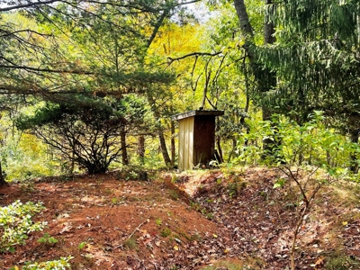 Acreage With Rustic Cabin For Sale In Marion VA - image 15
