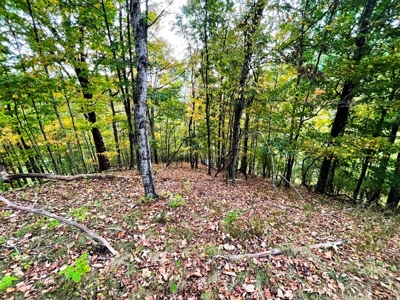 Acreage With Rustic Cabin For Sale In Marion VA - image 20