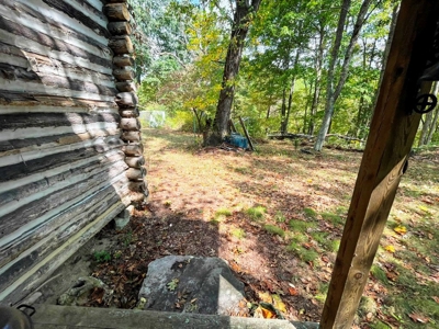 Acreage With Rustic Cabin For Sale In Marion VA - image 8
