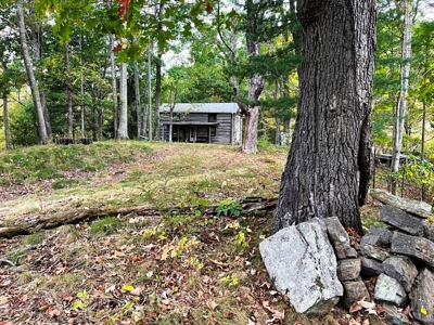 Acreage With Rustic Cabin For Sale In Marion VA - image 21