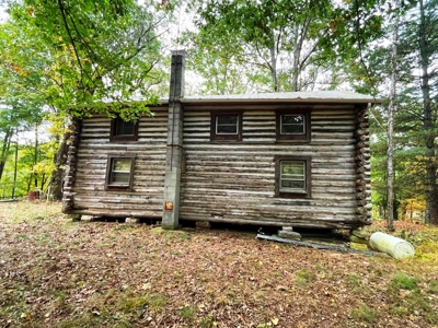 Acreage With Rustic Cabin For Sale In Marion VA - image 7