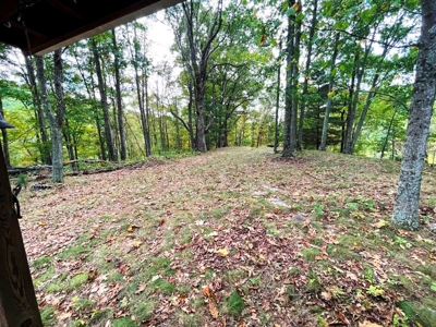 Acreage With Rustic Cabin For Sale In Marion VA - image 16