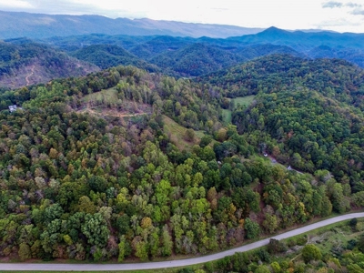 Acreage With Rustic Cabin For Sale In Marion VA - image 29