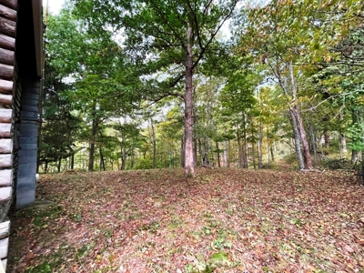 Acreage With Rustic Cabin For Sale In Marion VA - image 17