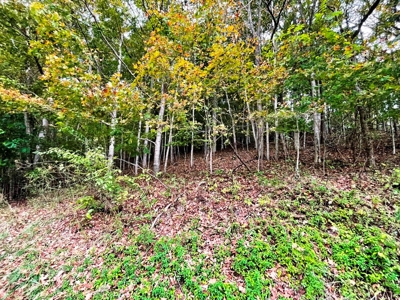 Acreage With Rustic Cabin For Sale In Marion VA - image 25