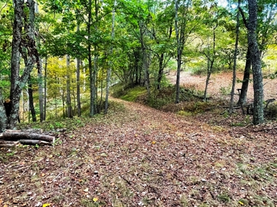 Acreage With Rustic Cabin For Sale In Marion VA - image 18