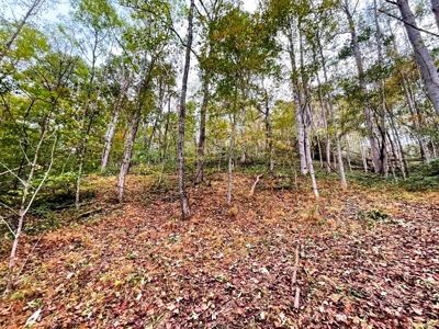 Acreage With Rustic Cabin For Sale In Marion VA - image 26