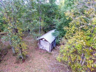Acreage With Rustic Cabin For Sale In Marion VA - image 27