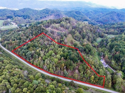 Acreage With Rustic Cabin For Sale In Marion VA - image 1