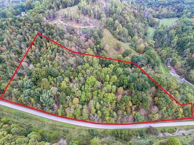 Acreage With Rustic Cabin For Sale In Marion VA - image 19