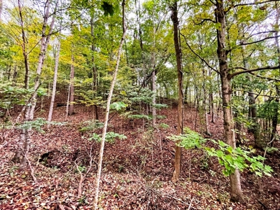 Acreage With Rustic Cabin For Sale In Marion VA - image 24