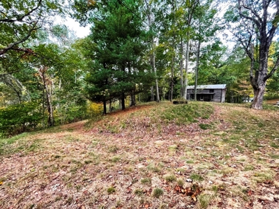 Acreage With Rustic Cabin For Sale In Marion VA - image 4
