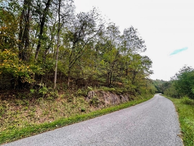 Acreage With Rustic Cabin For Sale In Marion VA - image 22