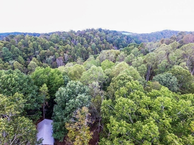 Acreage With Rustic Cabin For Sale In Marion VA - image 28
