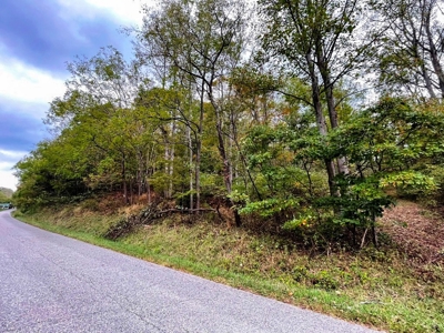 Acreage With Rustic Cabin For Sale In Marion VA - image 23